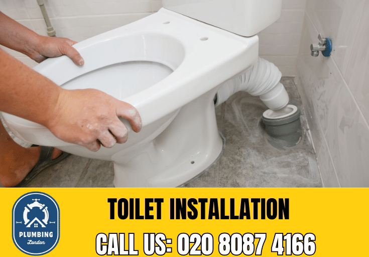 toilet fitters Worcester Park